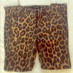 JOES THE CHARLIE CHEETAH PANTS